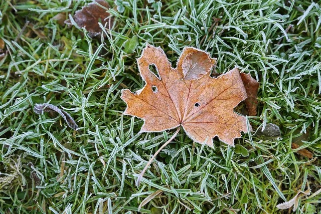 Winter Readiness Tips for Your Yard